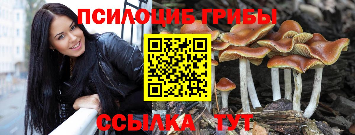 Галлюциногенные грибы Magic Shrooms  Вход с VPN  Нижневартовск 