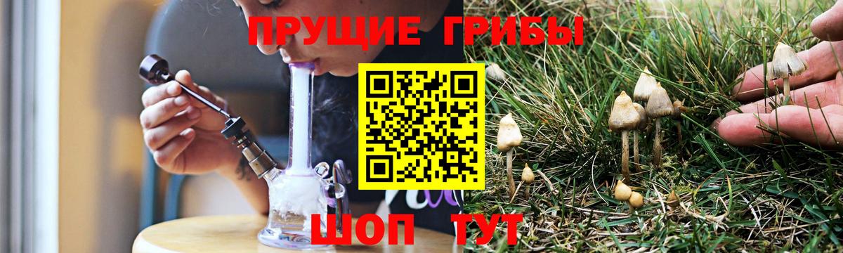 Псилоцибиновые грибы Psilocybe Нижневартовск